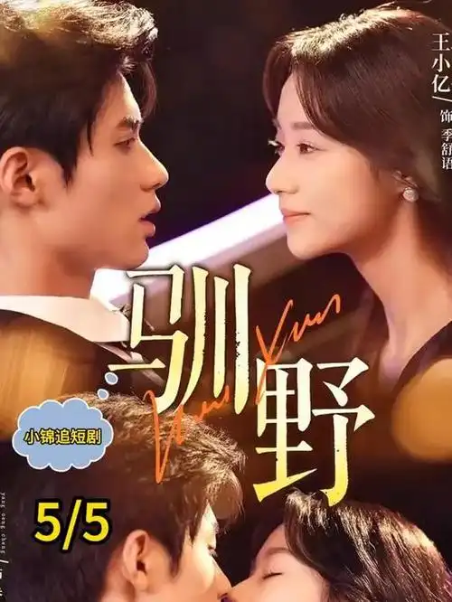 国产一级视频《长街灯火》剧集封面